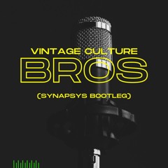Vintage Culture - Bros (Synapsys Bootleg) [FD]