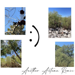 The Japenese House - :) (Another Autumn Remix)
