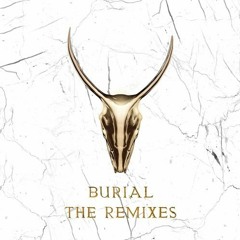 Burial (Skrillex & Trollphase Remix) (DVIKI Bootleg)(CLIP)