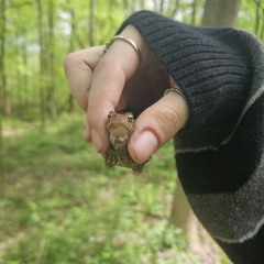 Big Shade - Drugs in the Summer