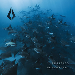SUPPORT | Delta Vaults - Colors Of Life [Purified Records]