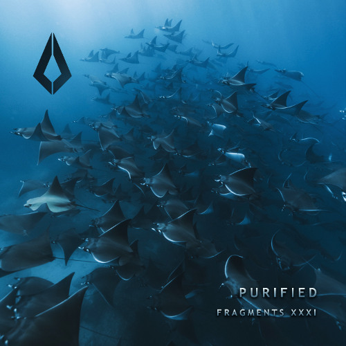 SUPPORT | Delta Vaults - Colors Of Life [Purified Records]
