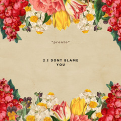 Idontblameyou (røse)