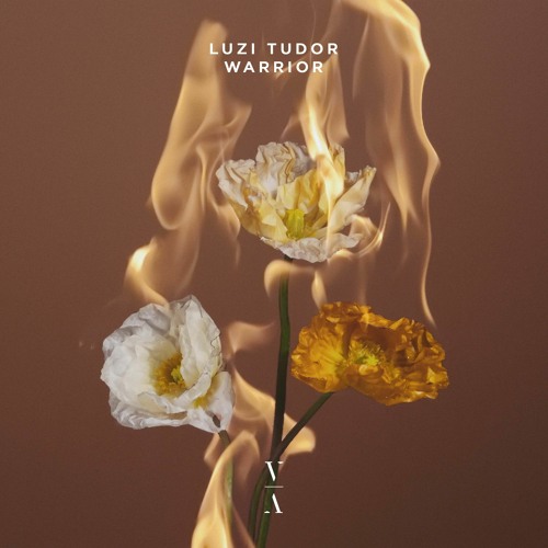 Luzi Tudor - Warrior