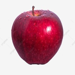 Safe Rules ZAYN & Taylor Swift Dua Lipa vs. Capital Cities