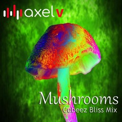 Marshall Jefferson - Mushrooms - Axel V Cubeez Bliss Mix