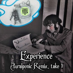 Daedelus - Experience (Auralponic Remix)