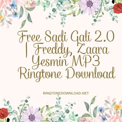 Free Sadi Gali 2.0 | Freddy, Zaara Yesmin MP3 Ringtone Download