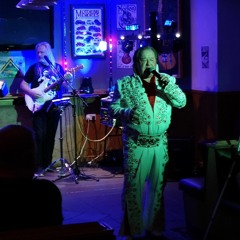 ELVIS has left the building