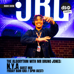 The Algorythm Show #15 - N.Y.A