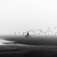 Mystical Illusions