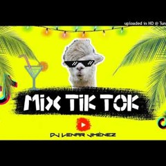 MIX TIK TOK - Dj Lenar Jiménez (Canciones De TIK TOK) MI PAN SU SU SUM DALE VUELTA