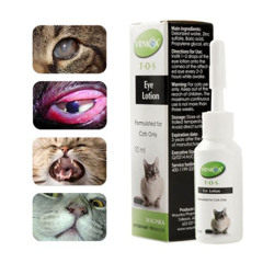 Best Treatment For Feline Herpes Eyes Reviews