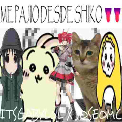 ME PAJEO DESDE SHIKO
