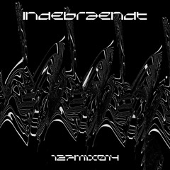 127mix014 ~ Indebraendt