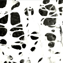 oyokai // OSMA Proyecto Uest