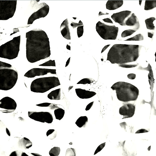 oyokai // OSMA Proyecto Uest