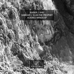 Kaiser - It Never Ends [Prophecy]