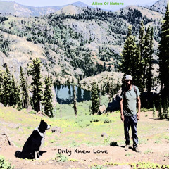 02 - Only Knew Love