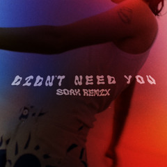Didn't Need You (SOAK Remix)