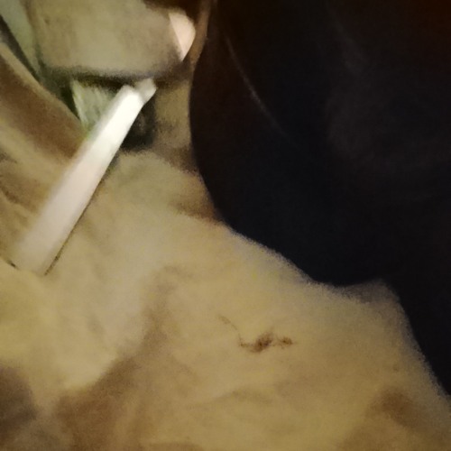 Oli.P & Felix Harrer , So Bist Du.mp3