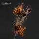 on FabricLive.94 - Midland