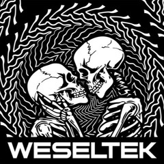 Broken Mindz x Borutek Crew Weseltek@Willa ŁDZ, 19.10
