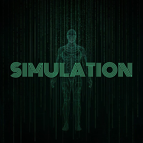 Simulation