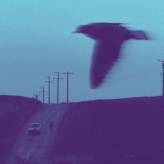 To Fly (Prod. $AURON)