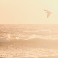 Portal Open #01 ꩜ On the Wings of Breath | Ecstatic Dance mini-set 🌬️