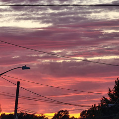 Surah Al An'am | Sheikh Bandar Baleelah