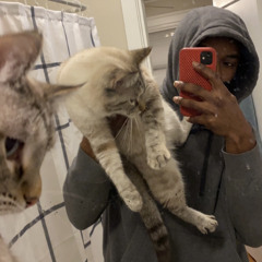 Trap card - Otaku Jerm