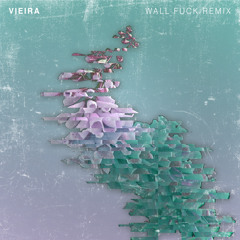 Flume - Wall Fuck (Vieira Remix)