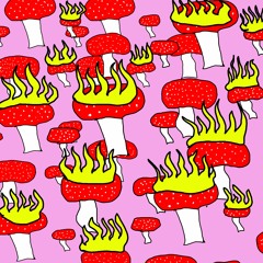 Mushroom Magic - 14 Golds