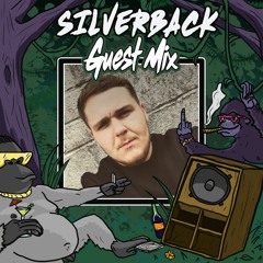 My Mixes