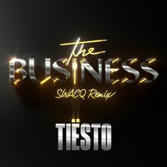 Tiësto - The Business (SWACQ Remix)
