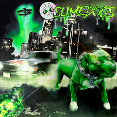 CADILAC FT F00BAG PROD GHOWZ