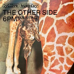 The Other Side 65, Lyl radio 07/02/23 (Let The Voices Guide You...)