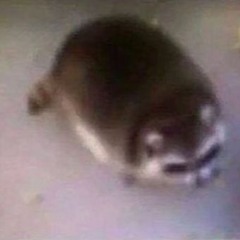 araaraaraaraara