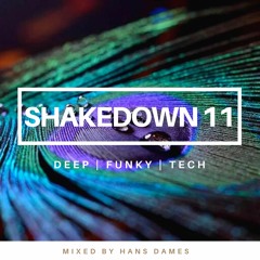 SHAKEDOWN 2023 #11 mixed by Hans Dames