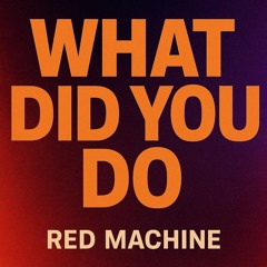 what did you do