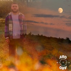Vladyslove #23(AroAroRecordings)