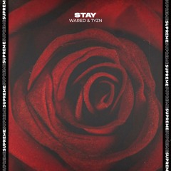 WARED & Tyzn - Stay
