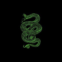 K!N - YSL Snake (Prod. Edak) {2023}