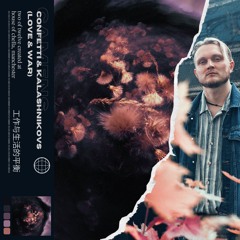 Confetti & Kalashnikovs