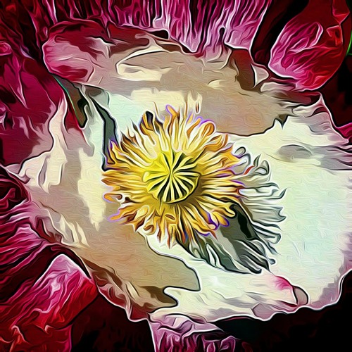 MORNING VIBES: Aaron Holstein Solo Piano Improvisation 01