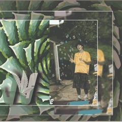 Cactus Dreaming - Jacob