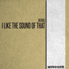 Alkali - I LIKE THE SOUND OF THAT // MS237