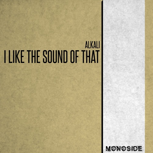 Alkali - I LIKE THE SOUND OF THAT // MS237