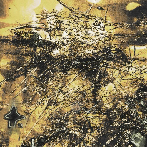 premiere: NiN - Strobe Warning [label: TSUM Records]